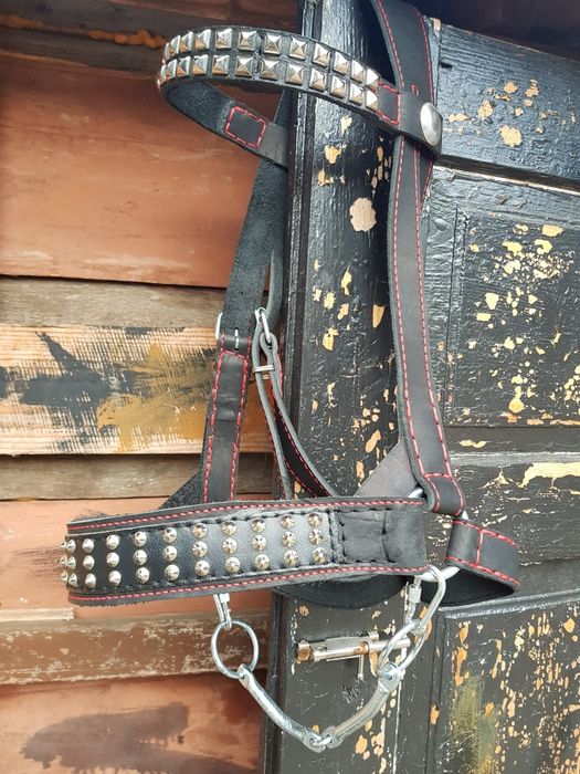 Кантар вуздечка наголовник