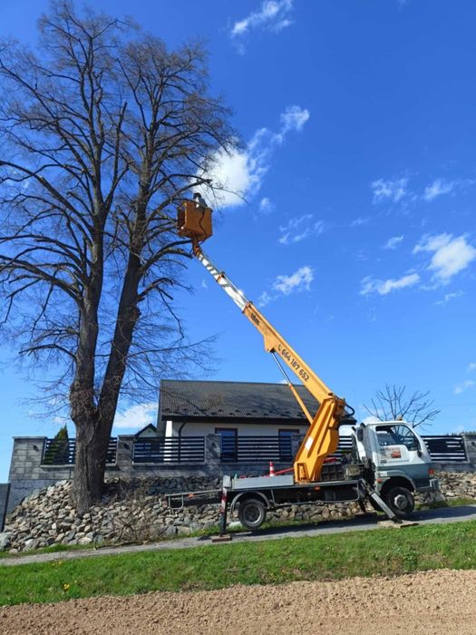 Zwyżka podnośnik koszowy, malowanie mycie dachów wycinka drzew rębak
