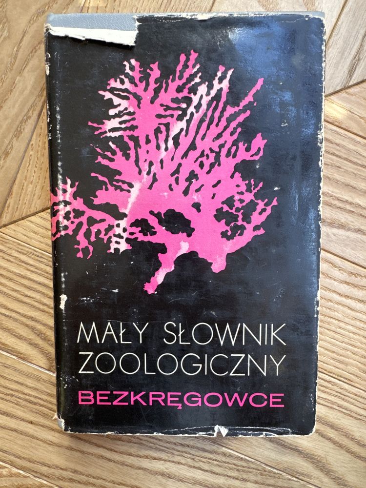 Książka “Mały słownik zoologiczny: Bezkręgowce”