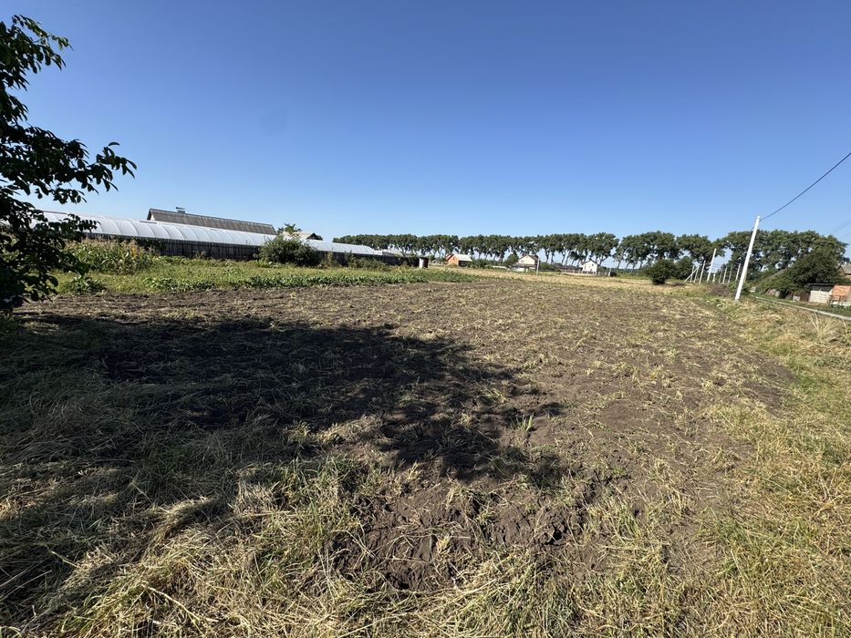 Продам ділянку в селі Гавришівка