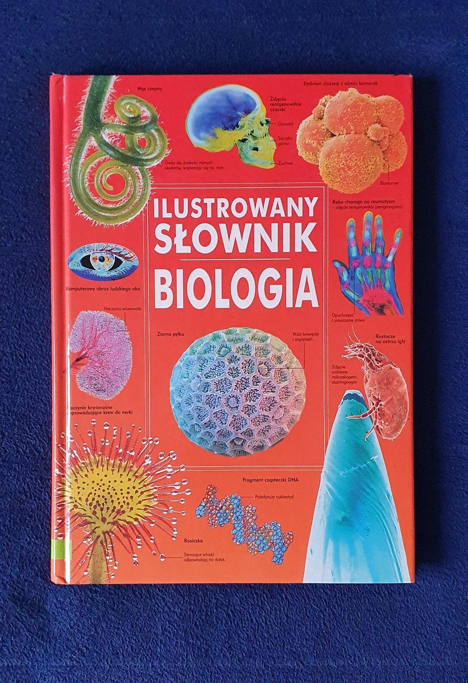 Ilustrowany słownik - Biologia