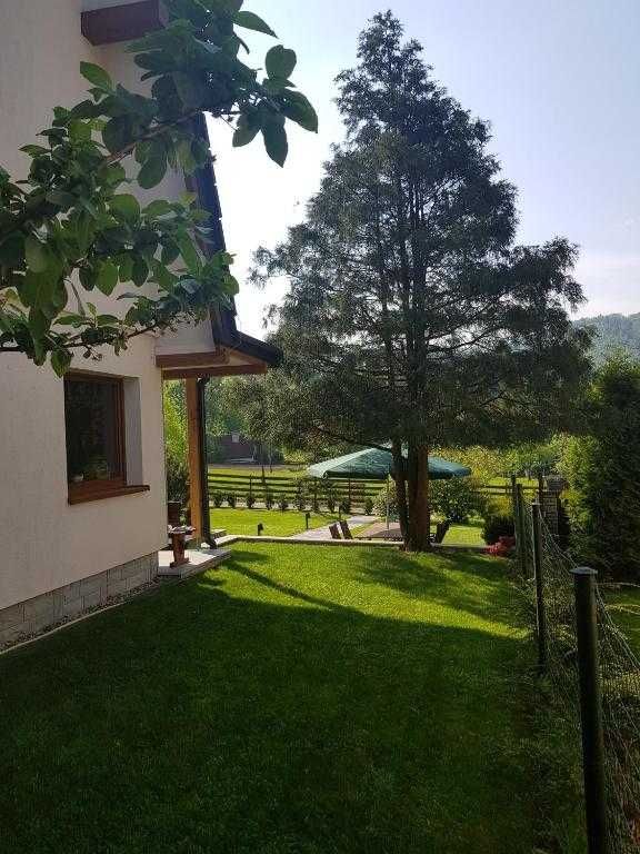 Dom do wynajęcia