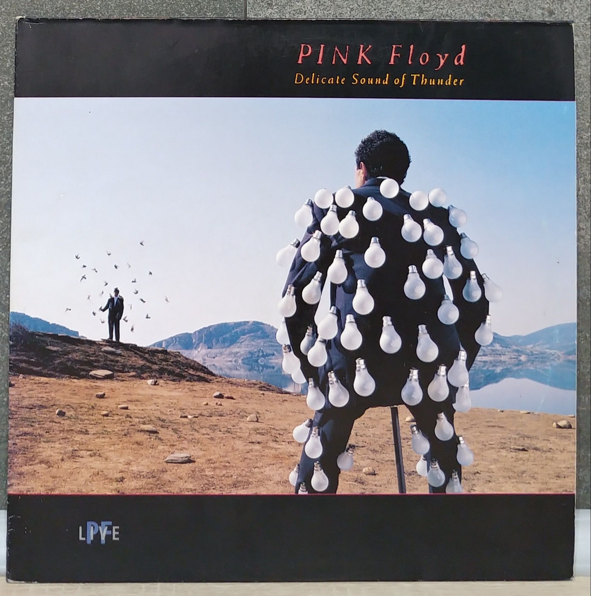 Pink Floyd - Delicate Sound Of Thunder. 1988r.