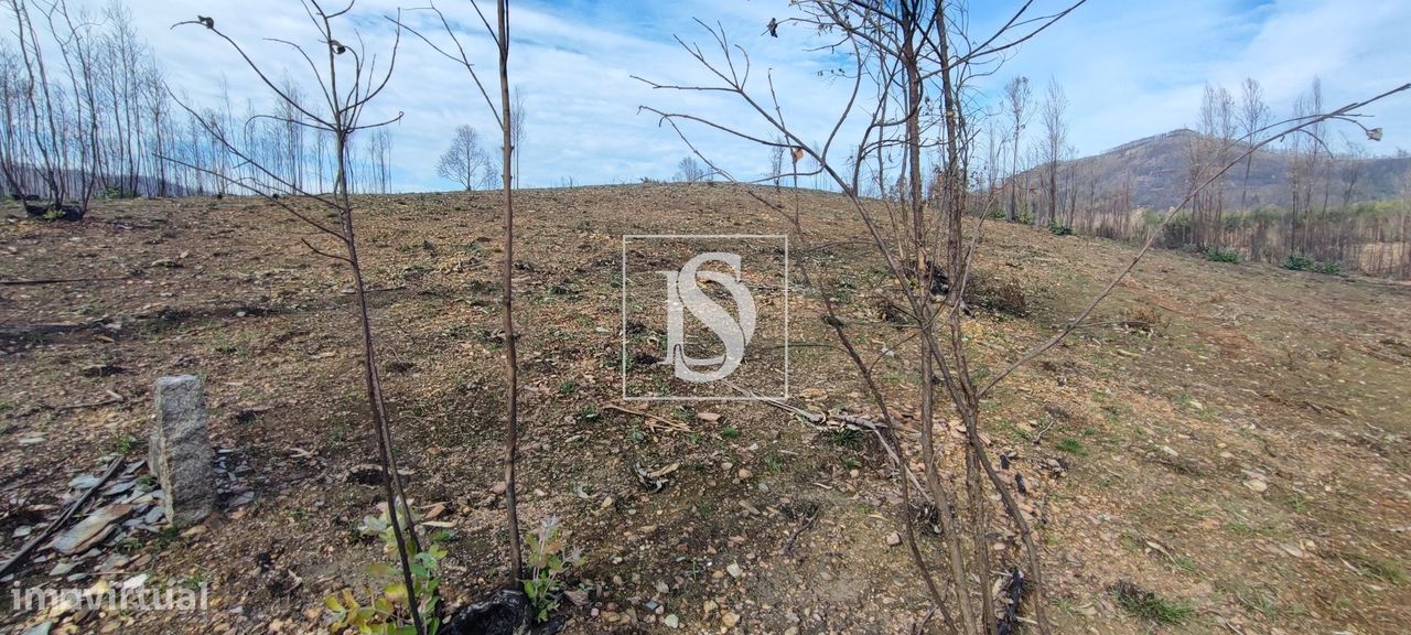 Terreno de 2,4Ha em Melres