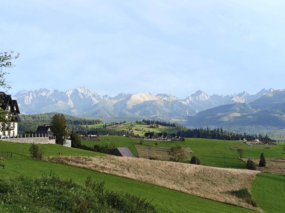 Solidna firma sprzątająca przyjmnie zlecenia stałe biur,domów,mieszkań