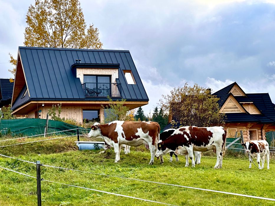 Domek w górach Tatry, Bukowina, Zakopane wolny Andrzejki Trzech Króli