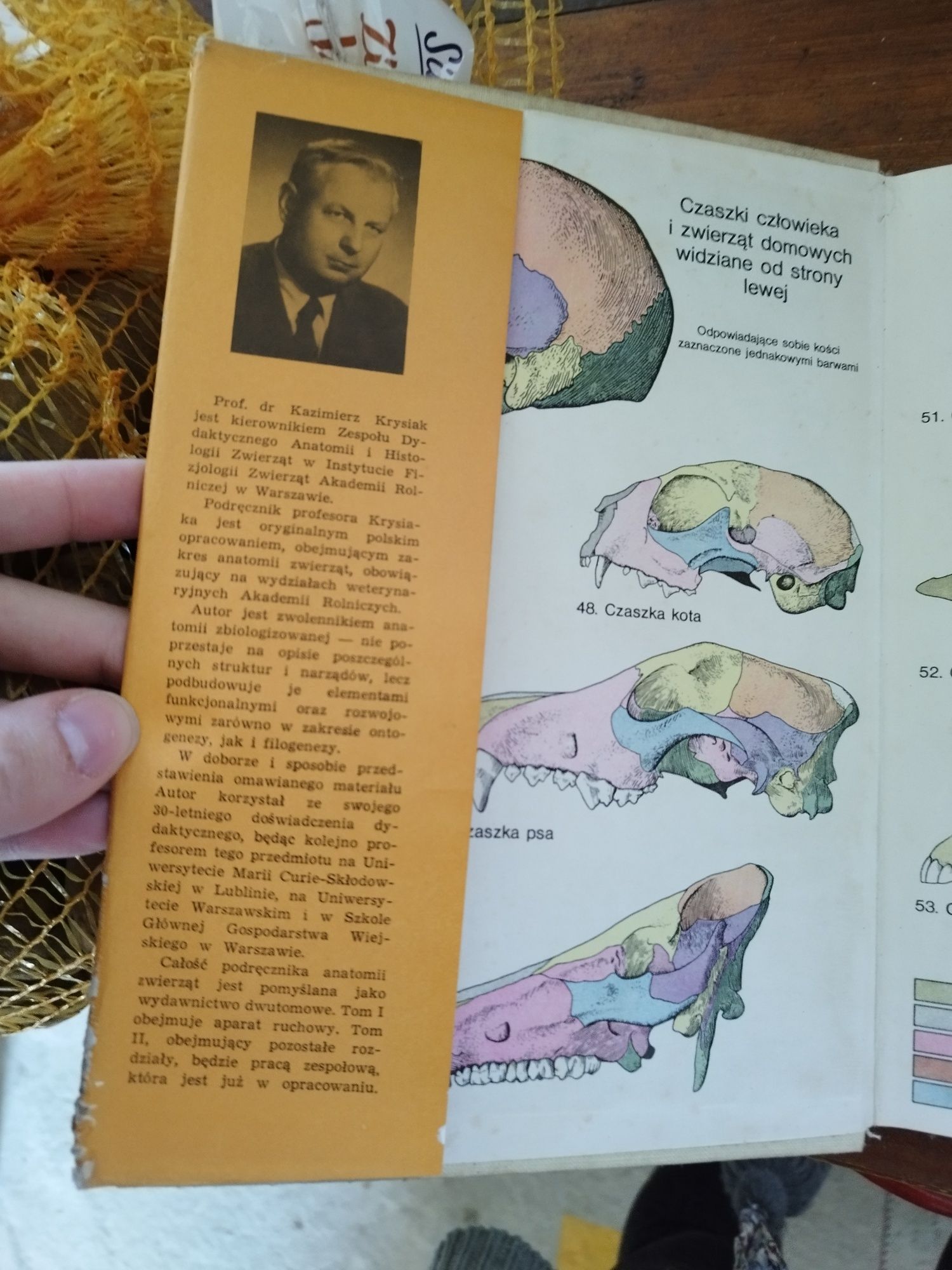Anatomia zwierząt Krysiak