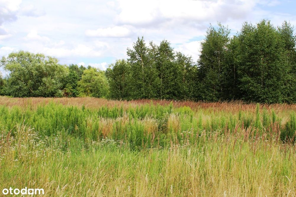 Ziemia orna z potencjałem
