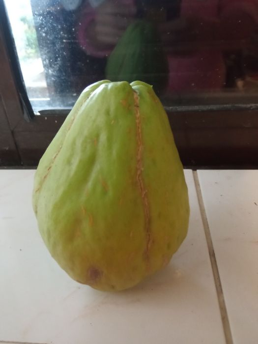 Chuchus Frescos, Saborosos e 100% Naturais!