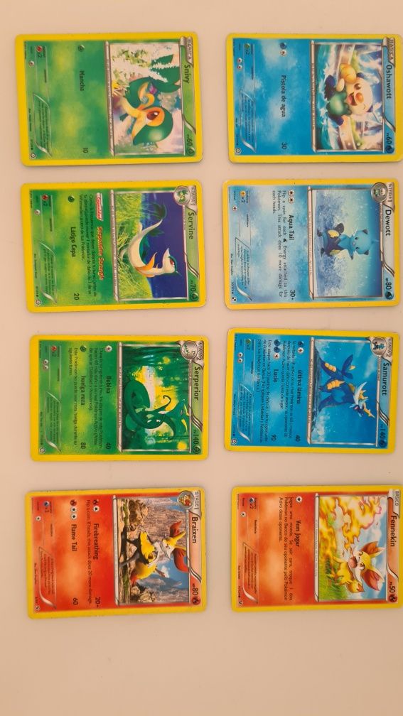 Cartas Pokemon originais