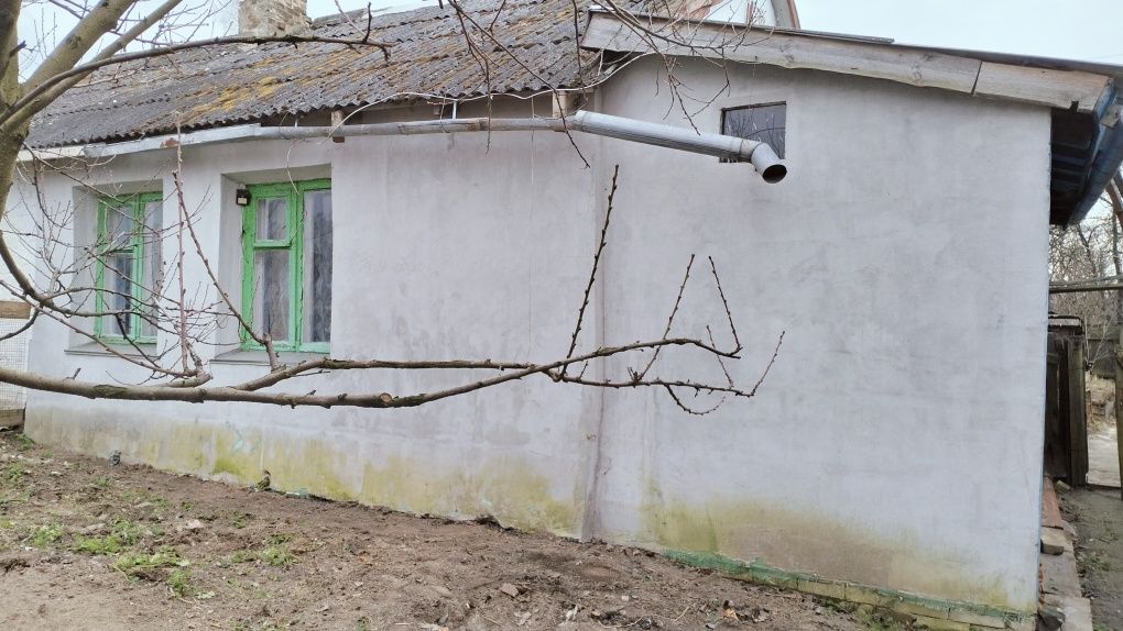 Продам 1/2 будинку с Савин (60 км від Києва)