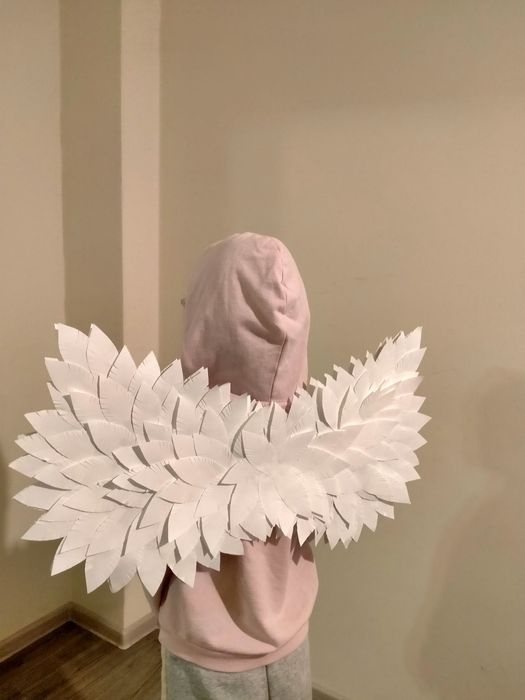 Прокат -крила янгола і німб