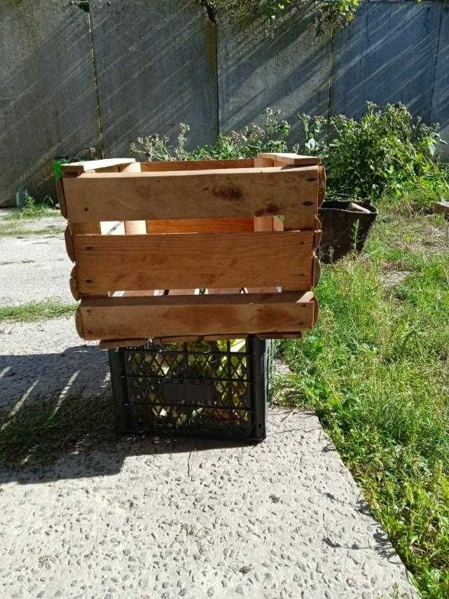 Продам ящики дерев'яні