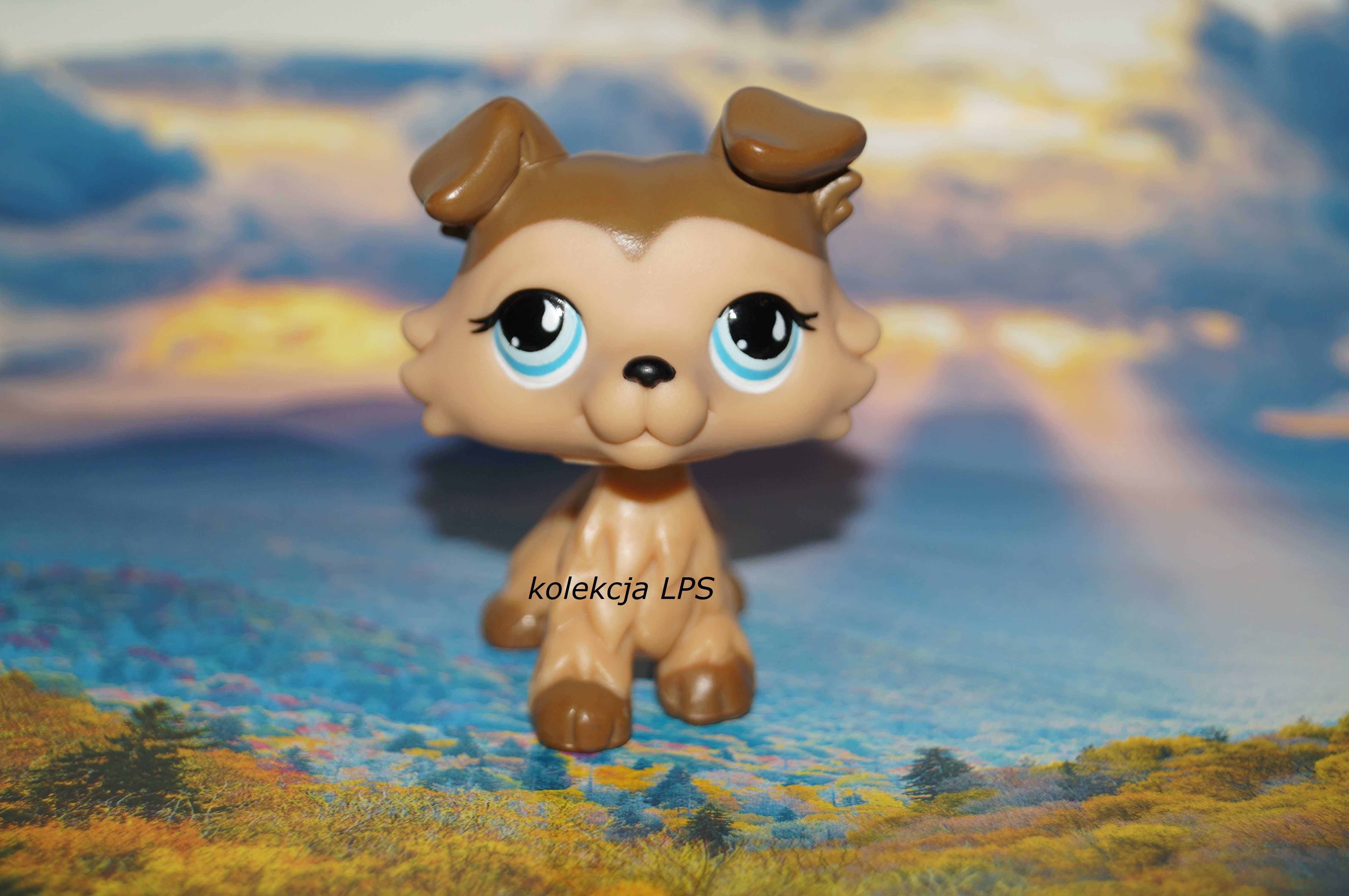 LPS Littlest Pet Shop collie #893 #853 oryginalny oryginał UNIKAT POP