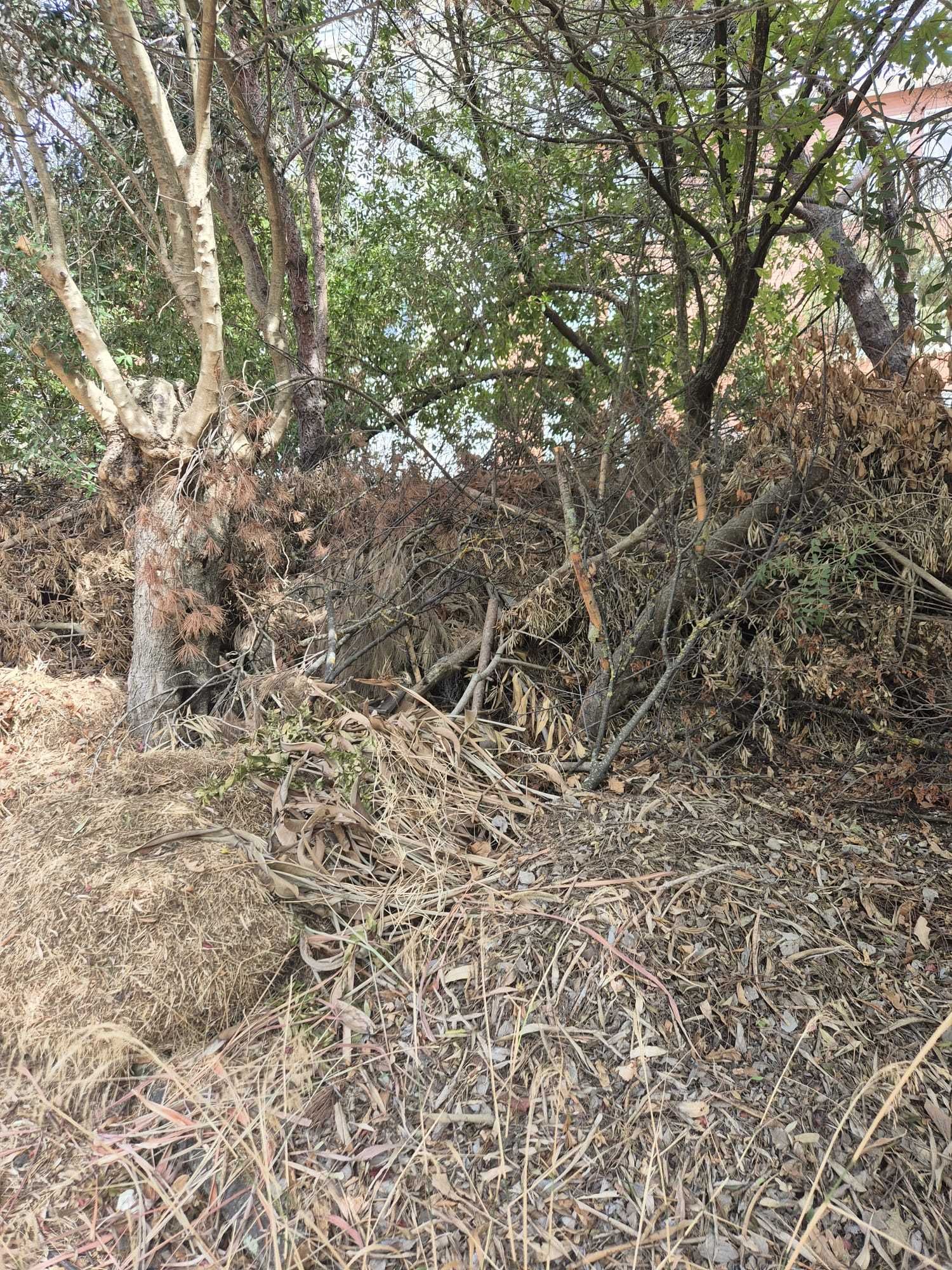 Oferta – Resíduos de Jardim Grátis