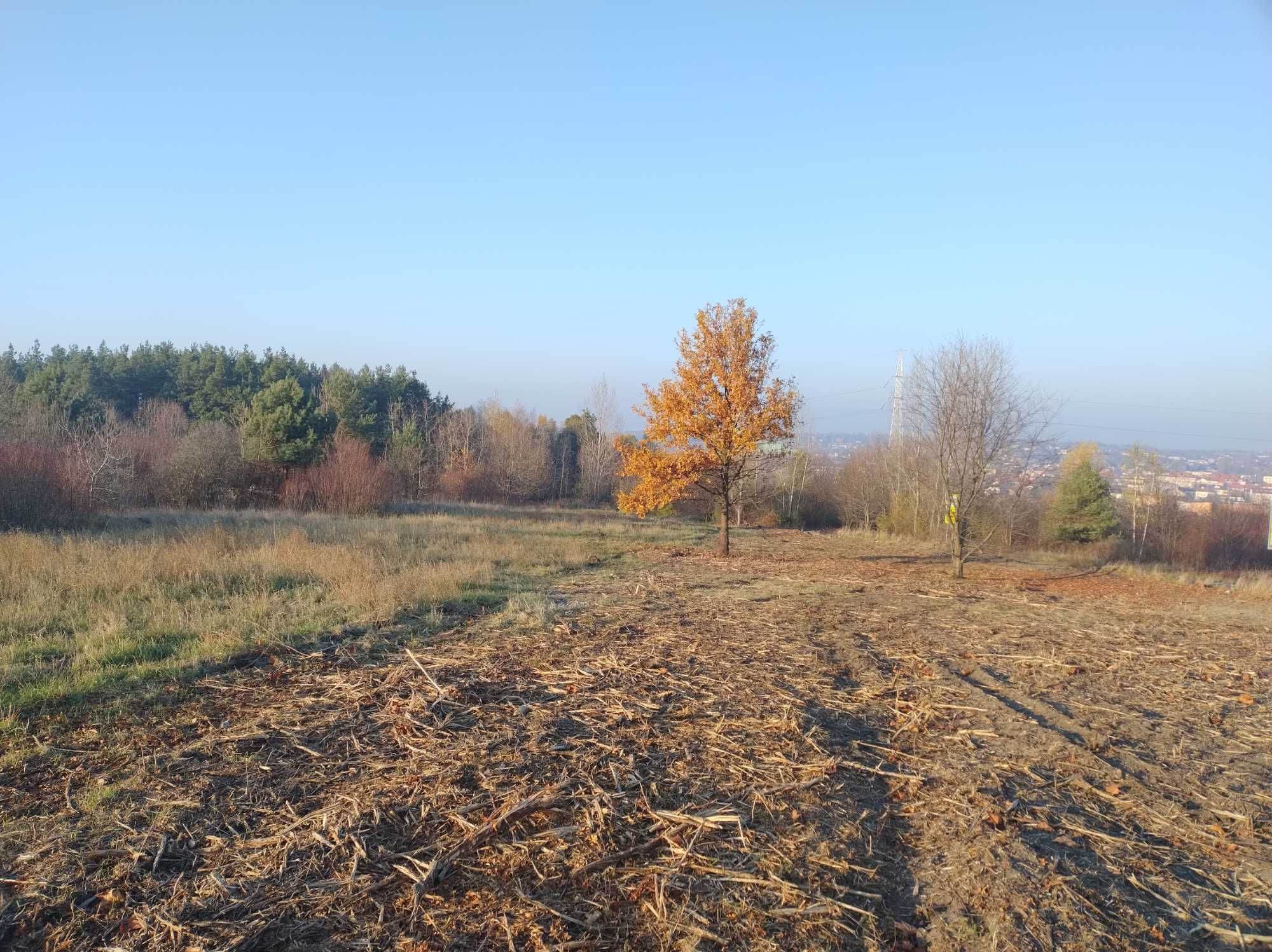 Sprzedam WIDOKOWĄ DZIAŁKĘ w Olkuszu