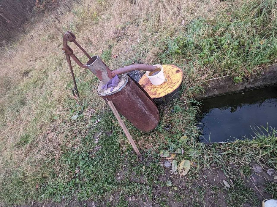 Продається дачна ділянка 10 сот в СТ Діброва (10)