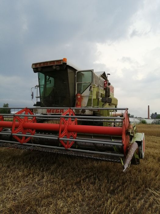 Omłot koszenie kukurydzy na ziarno