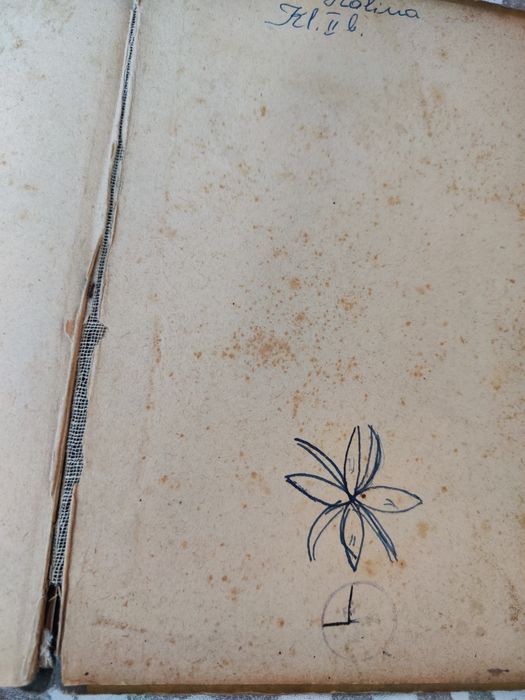 Materiałoznawstwo odzieżowe - Maria Chyrosz, Helena Waniczek