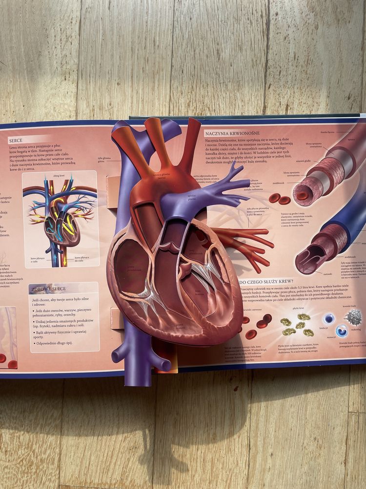 Ludzkie ciało, Aktywna nauka, książka