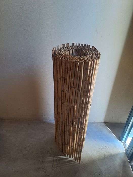 Caniço de ocultação