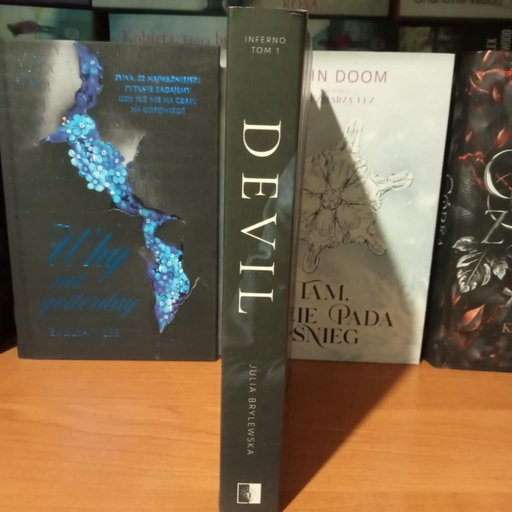 Devil Julia Brylewski romans