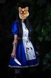 Продам косплей по Alice Madness returns.