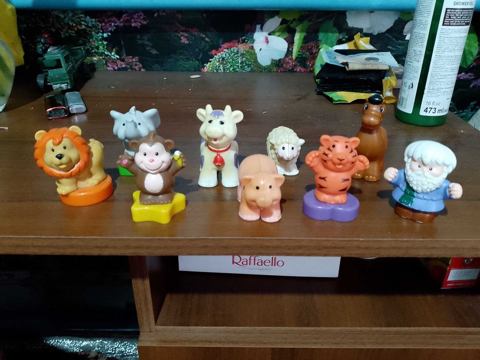 Ноев ковчег, коллекция