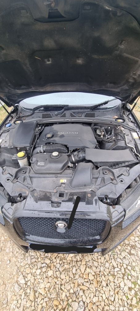 Jaguar xf S portfolio 3.0v6 275 ANGLIK