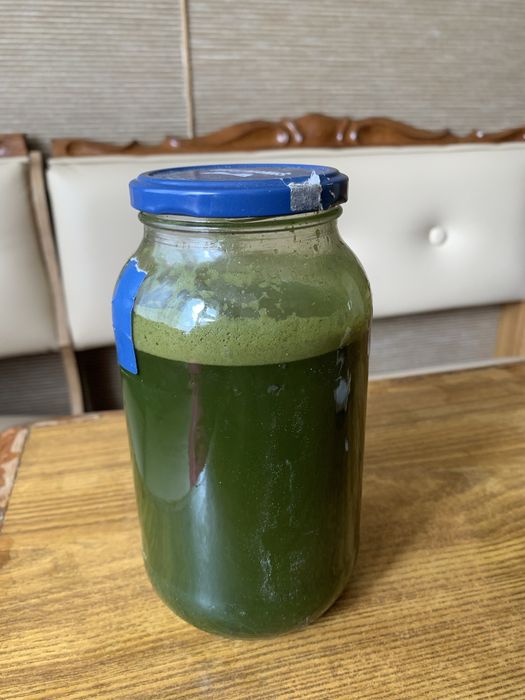 Свіжовижатий сік чистотіла