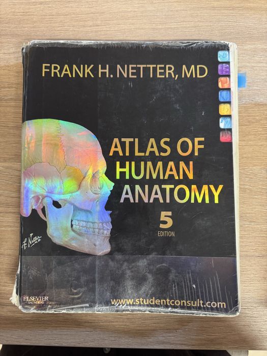 Frank Netter atlas of human anatomy