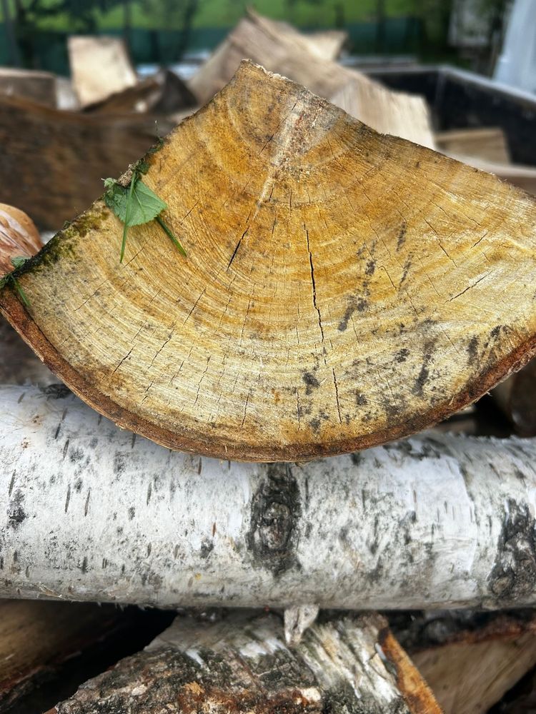 Sprzedam drewno opalowe kominkowe lisciaste