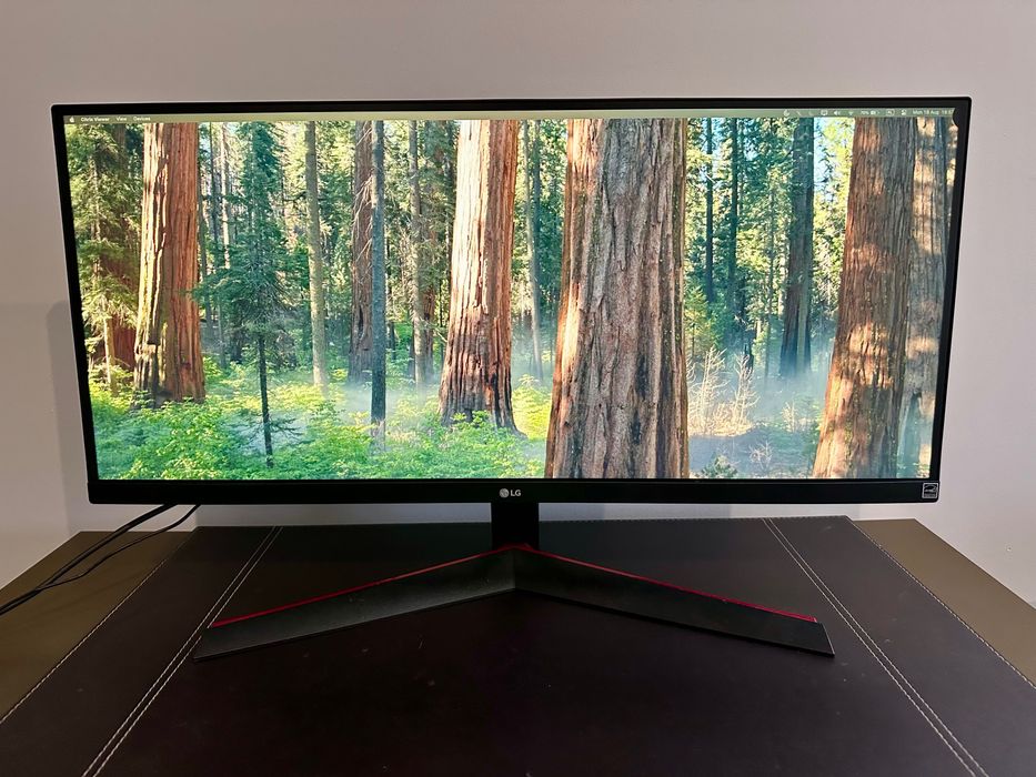 Monitor LG 29" 29WP60G UltraWide HDR10 USB-C