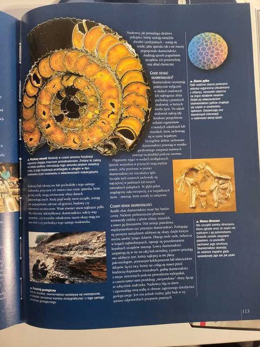 Fascynujące dzieje planety Ziemi