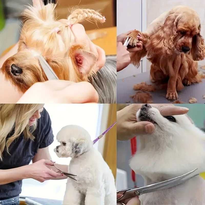 conjunto de tesouras e pente para animais (cães, gatos, entre outros)