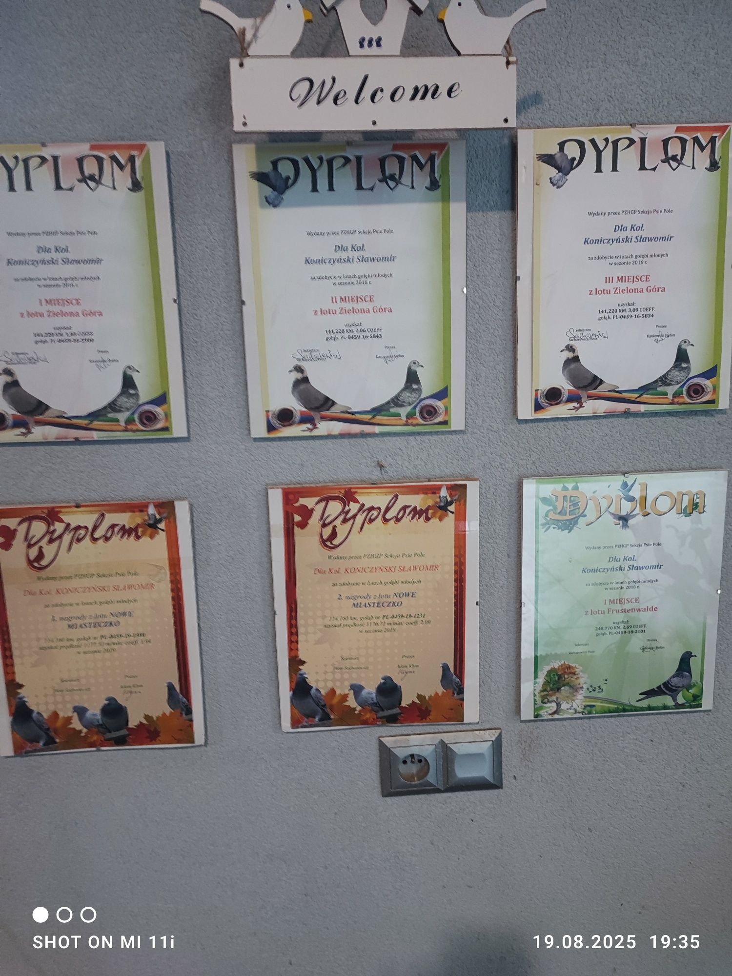 Młode linie Olimpijskie