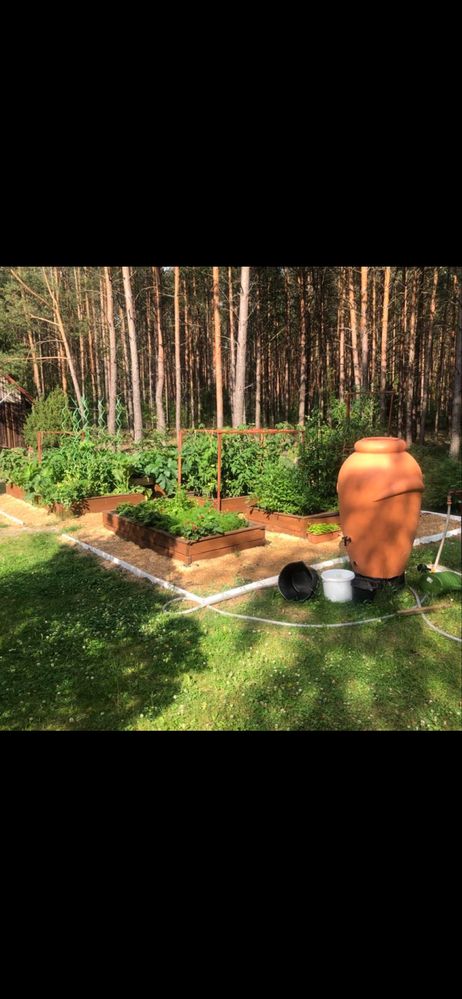 Dom  caloroczny w sercu Borów Tuchollskich