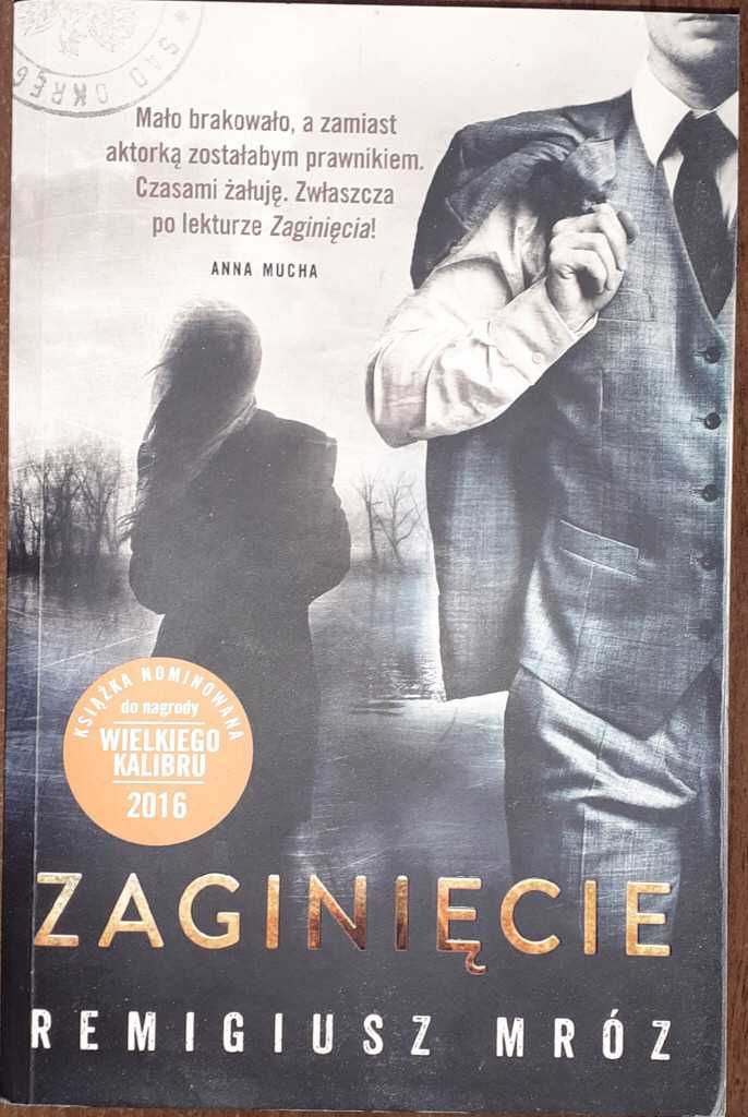 Zaginięcie - Remigiusz Mróz
