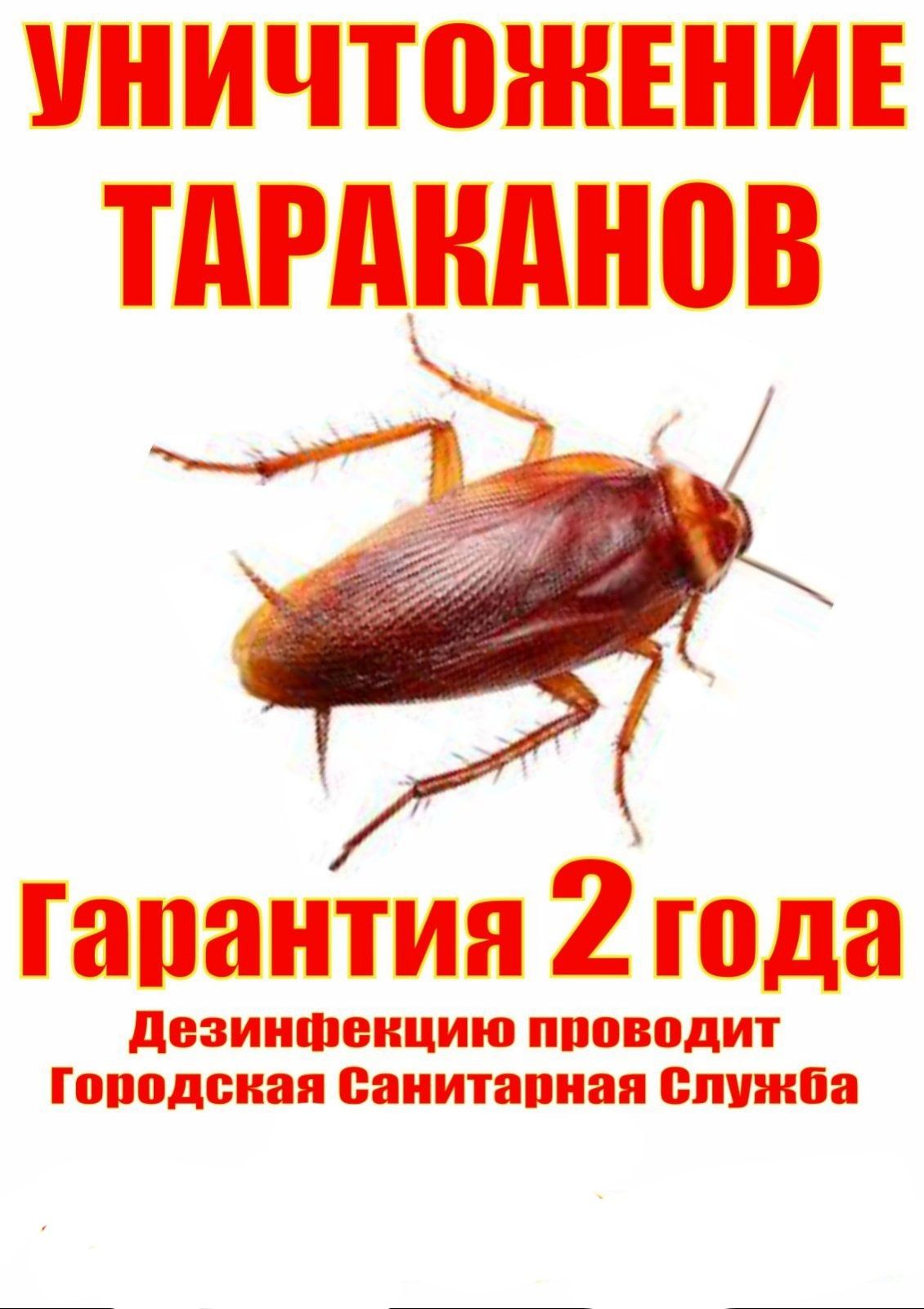 Уничтожение Травля Потравить Тараканов Прусаков Клопов Блох Плесень