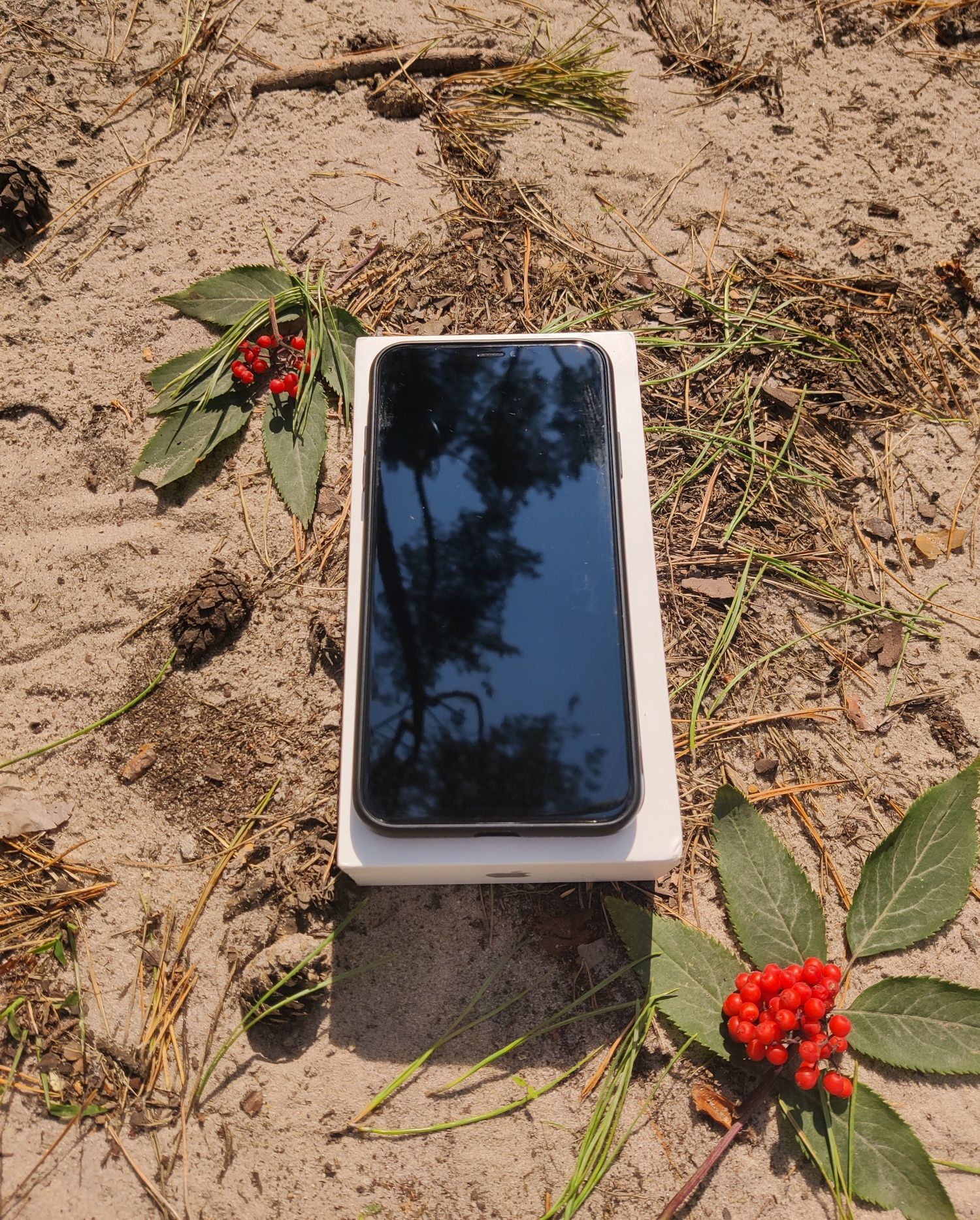 Iphone Xs Max | 256 Гб | Silver | 16 Ios | Rsim