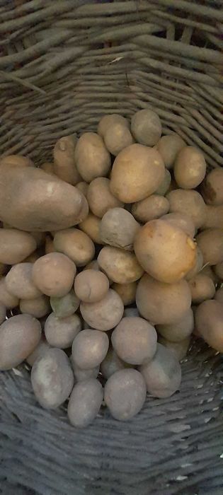 Drobne ziemniaki