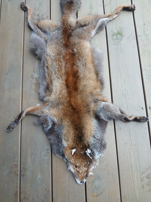 Skóry  z lisa garbowane