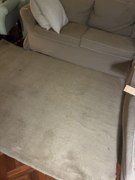 Tapete AREA STORE bege 170x240cm usado