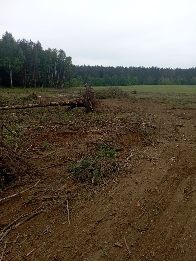 Nieodpłatne usuwanie zadrzewień i zarośli