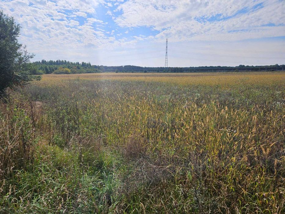 działka rolna Głoska - 28000 m2