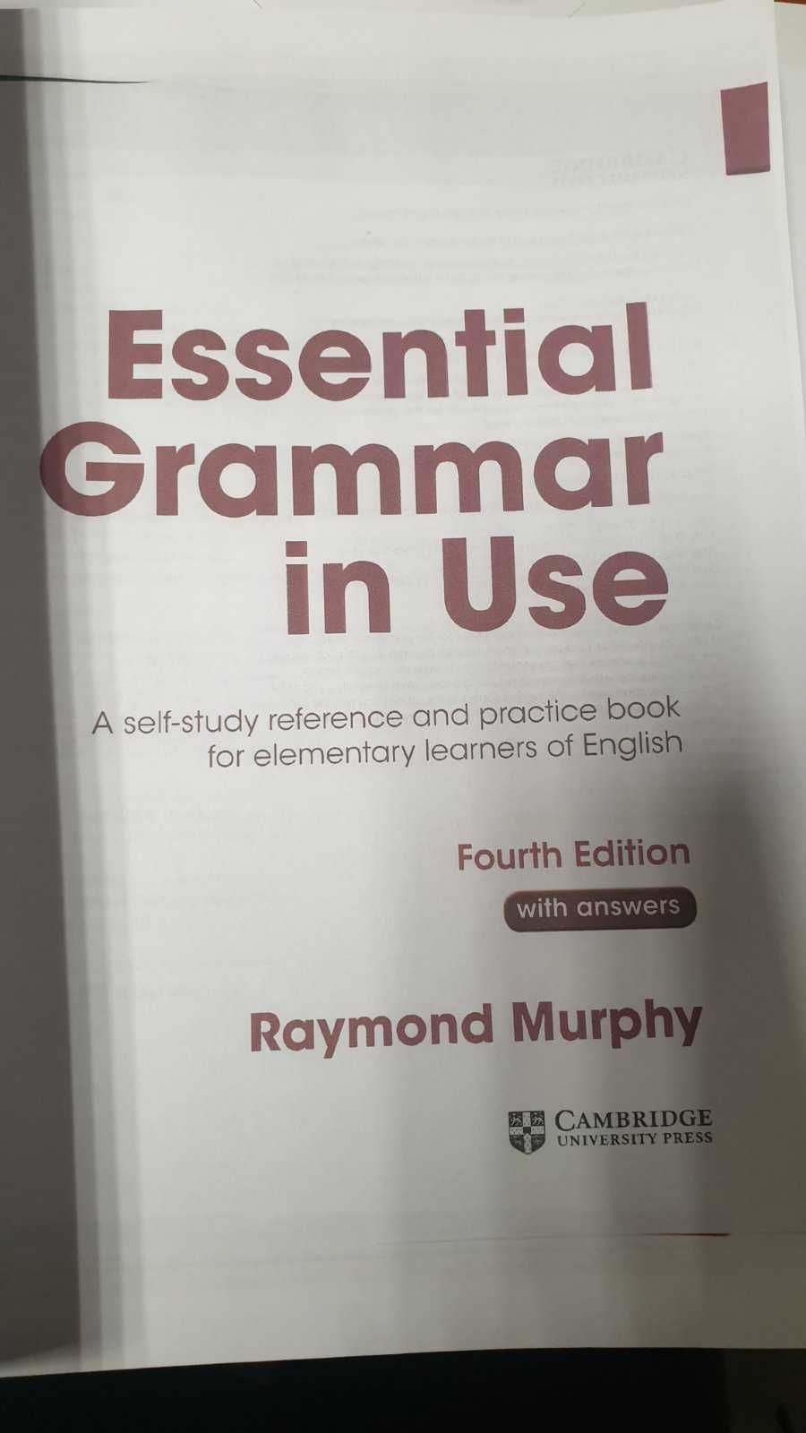 Essential Grammar in Use, 4rd edition