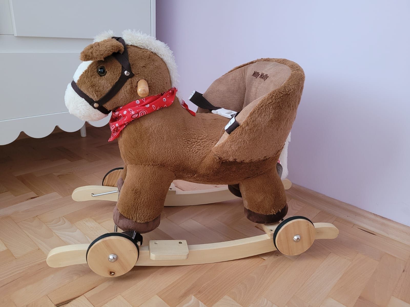 Konik na biegunach