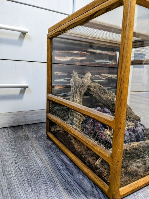 Терраріум (37 на 39 см)