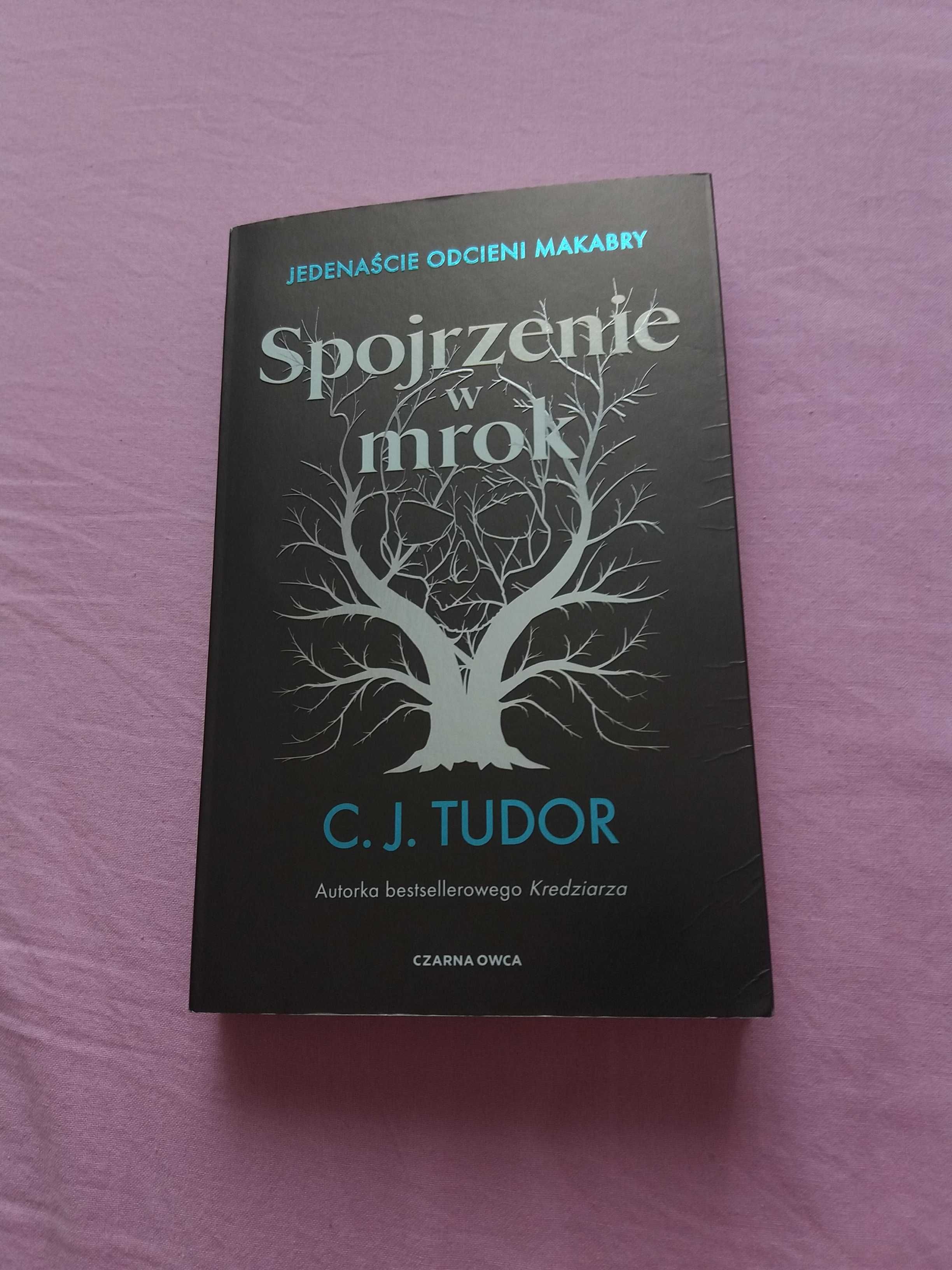 Spojrzenie w Mrok Jedenaście Odcieni Makabry C.J. Tudor thriller