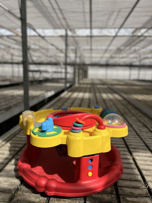 Chodzik dla dzieci- oddam za darmo